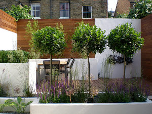 modern garden design battersea