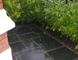 A very small space can be improved by the right choice of landscaping material, this front yard was transformed into a formal entrance