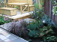 Newly planted garden in Twickenham