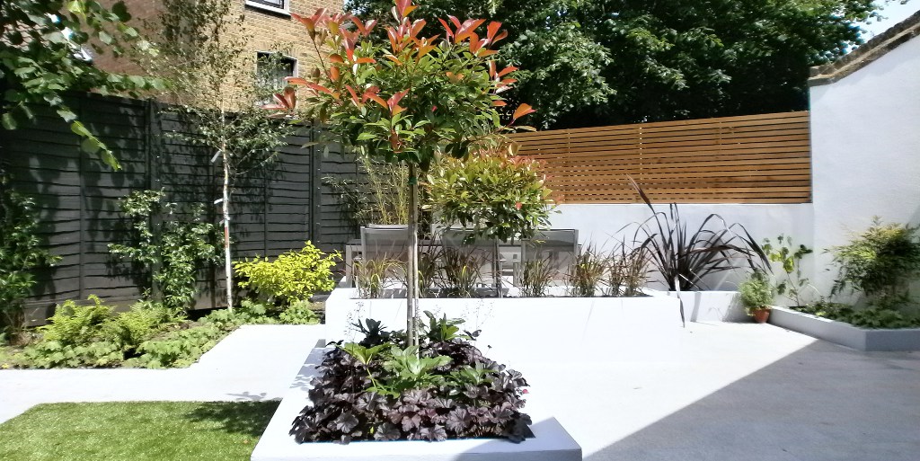picture modern garden design clapham